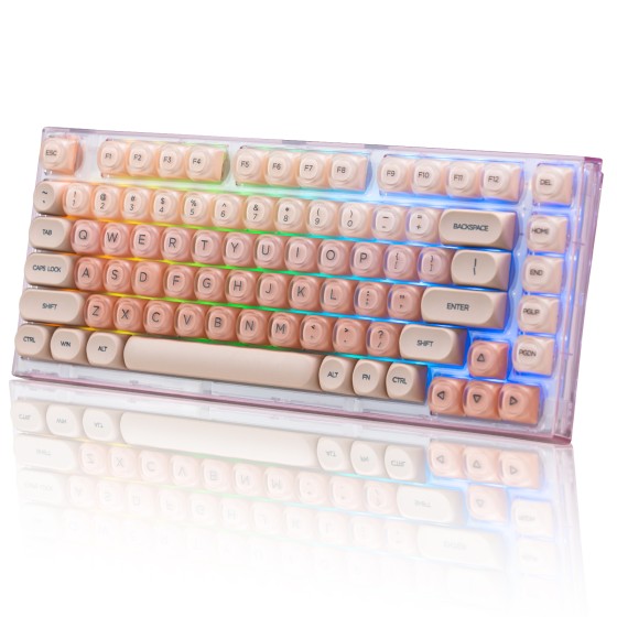 Womier X75 75% Wireless Mechanical Keyboard, Hot Swappable Computer Creamy Keyboard, Foundation Jelly Keycaps, Pre-lubed Switches Gasket Mount RGB Backlit Gaming Keyboards for Wins/Mac, Pink