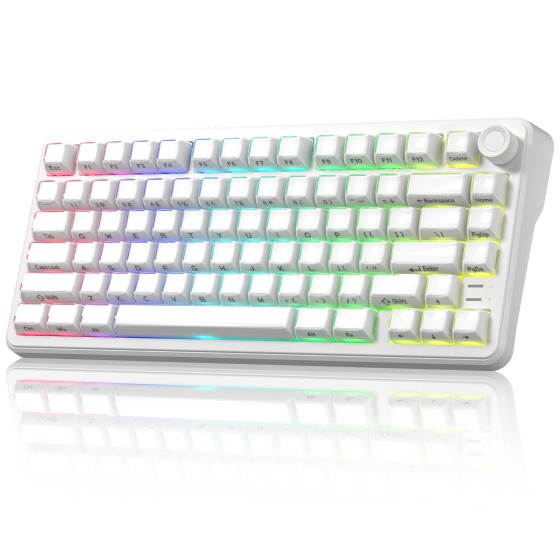 COSTOM 75% Wireless Mechanical Keyboard with Knob, Tri-Mode BT5.0/2.4GHz/USB-C Hot Swappable Computer Keyboard, Gasket Mount, Pre-lubed Linear Switches, RGB Backlit Gaming Keyboards, White