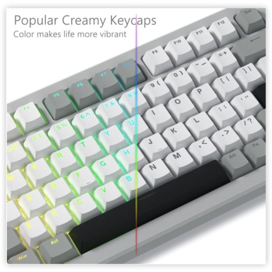 COSTOM PBT Keycaps Set, Double Shot 137 Key Caps,Cherry Profile Custom Keycap for 60 65 75 100 Percent Key Gaming Mechanical Keyboard,Gray