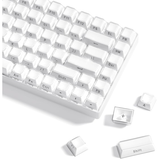 COSTOM Jelly Keycaps White 60 65 75 100 Percent, Side Printed Elegant Crystal Key caps, Custom 113 Keys OEM Profile for 61/68/84/87/98/100 Cherry Gateron MX Mechanical, White